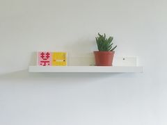 -阿狗圆子