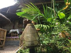 -Jungle Kitchen