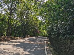 -南京市江宁方山