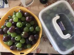 -马陆小张葡萄园农家乐