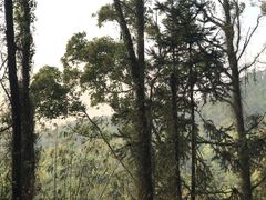 -大雁山风景区