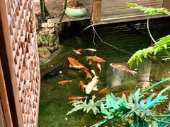 -聚缘堂·海鲜私房菜(松岭路店)