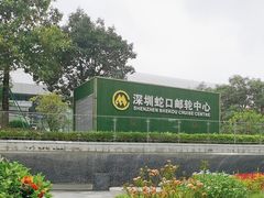 -招商蛇口邮轮母港(观光客运)