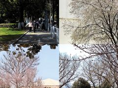 -玄武湖景区-情侣园游乐场