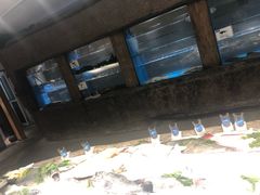 水产区-郑庄脂渣海鲜楼(九水路店)
