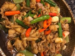 石锅藤椒美蛙-云天楼国鼎喜宴中心(国鼎店)