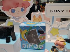 -Sony Store索尼(广州正佳店)