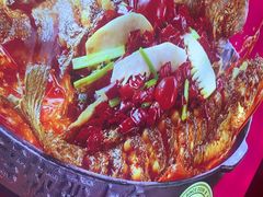 -老板恋上鱼(恒隆广场店)