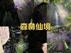 -青青世界