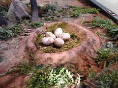 -湖南省地质博物馆