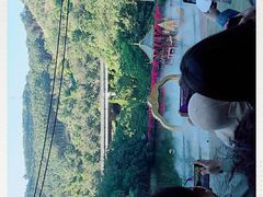 -西双版纳原始森林公园