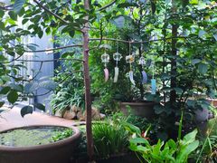 -肴约·花园式餐厅(湖里店)