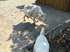 -嬉乐湾休闲旅游区