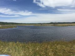 -塞罕坝国家级自然保护区