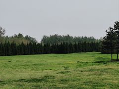 -汉长安城未央宫国家考古遗址公园