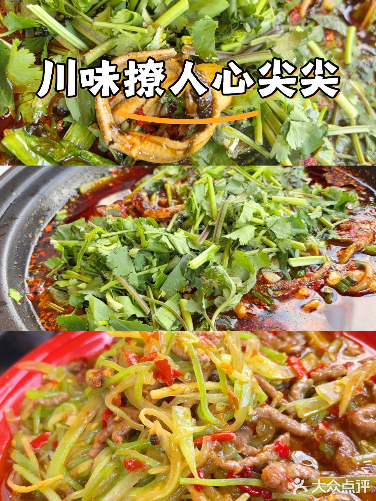 鳝鱼丝丝哦买噶