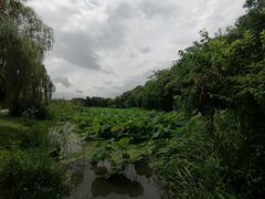 -汉陵苑