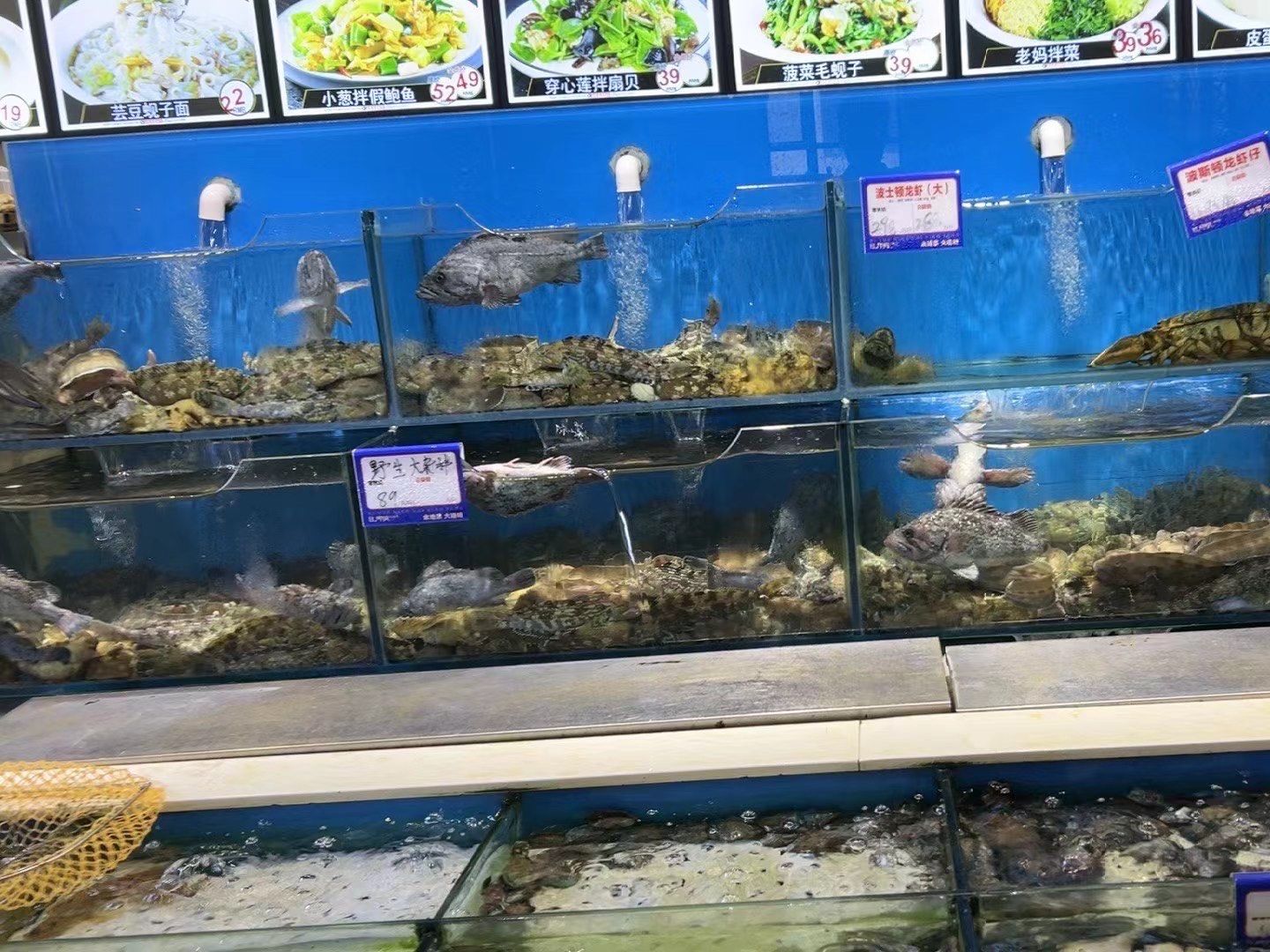 大连海鲜名店日月明