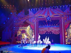 -珠海横琴长隆《卡卡虎奇遇记》