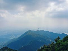-梧桐山风景名胜区