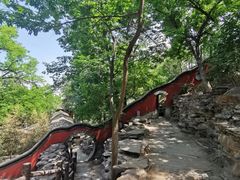 -大觉寺-停车场