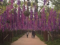 -呀路古热带植物园