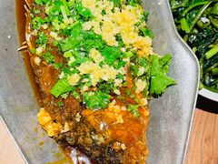 香辣炝锅鱼-树厨贵州菜(大十字店)