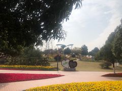 -铁山坪森林公园