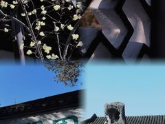 -留园