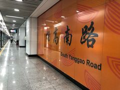 -杨高南路(地铁站)