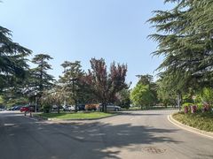 -南郊宾馆·风味自助餐厅·山东十六地市特色菜