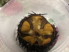 -海胆小馆(东北水饺·春柳店)