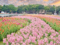 -海心沙亚运公园