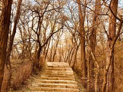 -棋盘山风景区