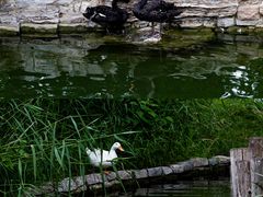 -三里河公园
