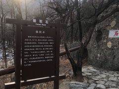 -阳台山自然风景区