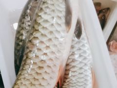 -畲乡一品鱼府土菜馆