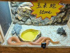 -姑苏二十四集(iD PARK 歌林公园店)
