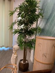-SEAS小顏·日本小颜整骨美容サロン