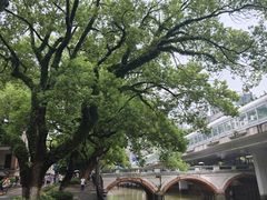 -广东胜利宾馆西关粤中餐厅