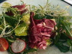 田园蔬菜沙拉-CASANOVA西餐厅(海信广场店)