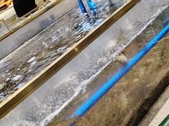 -半岛听涛蒸汽海鲜自助(K11店)