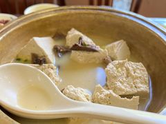 台蘑炖豆腐-老山西味道(明清店)