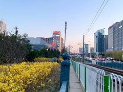 -大连海事大学游泳馆
