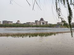 -莲花池公园
