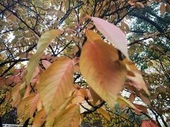 -一澜江宴·江景地标楚菜(江滩公园店)