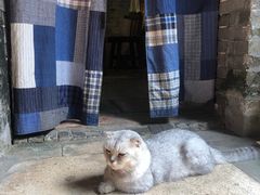 -老屋咖啡