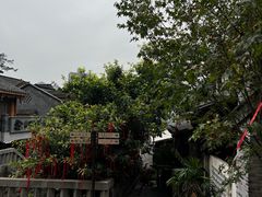 -重庆十八梯传统风貌区