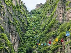 -北京龙庆四季香农家饭庄·灶台鱼·碳烤虹鳟鱼(龙庆峡店)