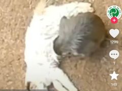 -昆明动物园